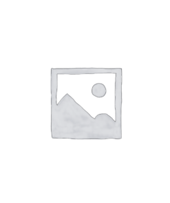 Action Figures & Collectibles